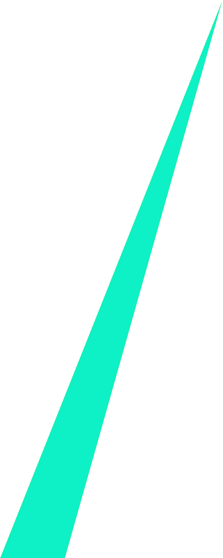 slider-3-shape-2a
